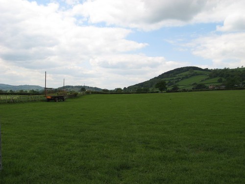 Photo 6x4 pasture land - photo,