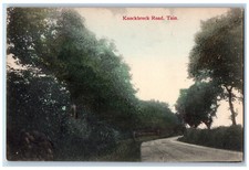 Tain Ross-shire Scotland Postcard Knockbreck Road c1910 Antique