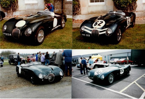 Jaguar type photographs - jaguar, c-type