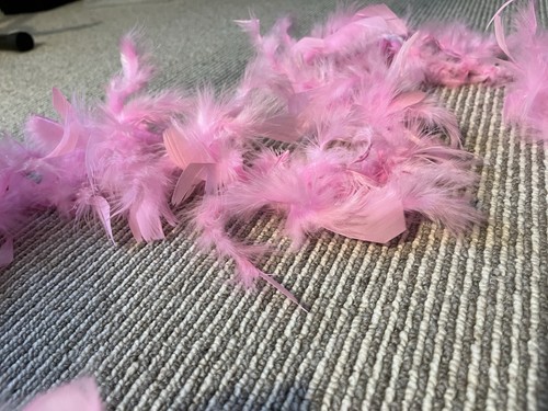 Pink feather boa mtr - boa,