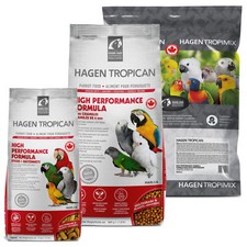 Parrot Bird Food Hagen Hari