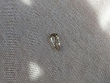 Turkish Diaspore Zultanite Csarite Gemstone 0.6ct Eye Clean Good Colour Change