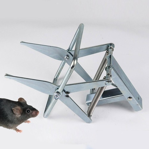 Mole trap eliminate - mole,