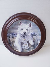 VTG Limited Edition Frame