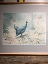 Peter Fogarty Wildlife Artist