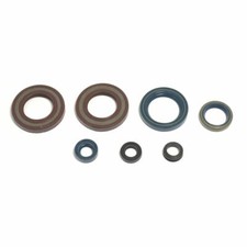 Athena Oil Seal Kit for KTM