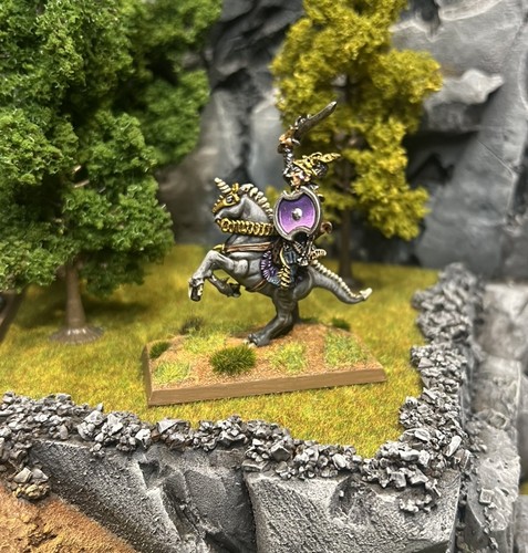 Warhammer c13 dark - dark, elf