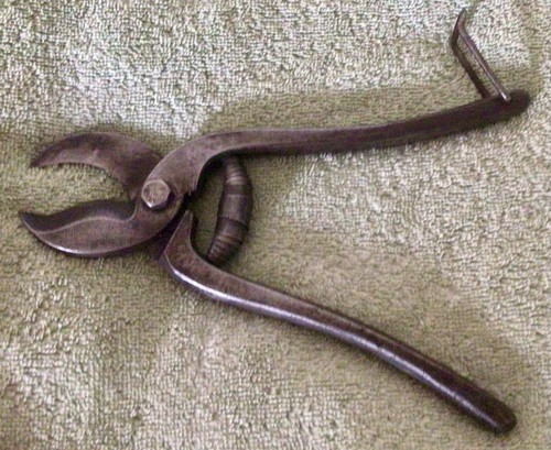 Vintage gilbo parrot secateurs - parrot,