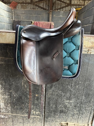 Inch ideal suzannah - 18,