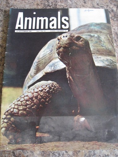 Animals sep 1963 bitterling - sep,