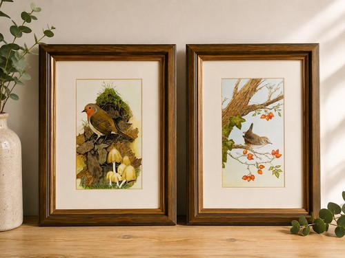 Pair framed bird prints robin - pair,
