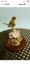 Border fine arts. Mounted Bird. Wren with flowers, By R Ayres VGC. 