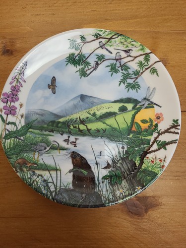 Wedgwood plate from - plate,