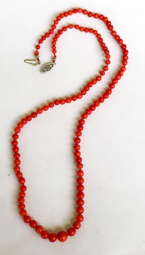 Vintage natural mediterranean - vintage,