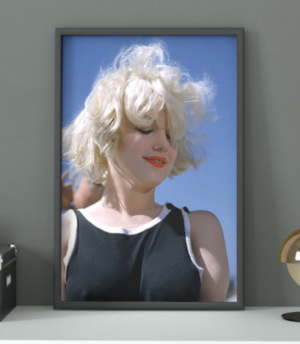 Marilyn monroe photo - ,