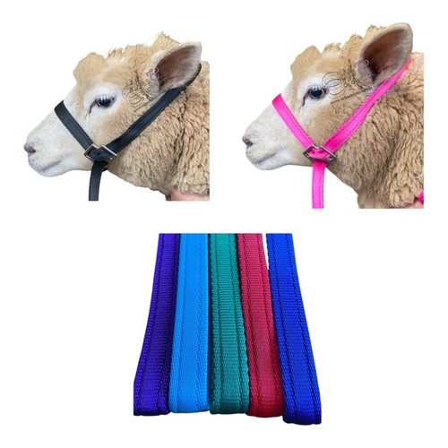Sheep halter webbing - webbing, stainless