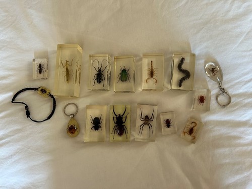Real life bugs - 15,