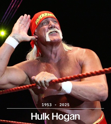 Hulk hogan rip wrestling wwe - wrestling,