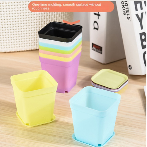 20pcs succulent flower pots - flower,