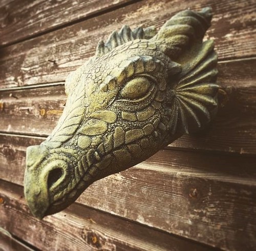 Wyvern dragon head wall plaque