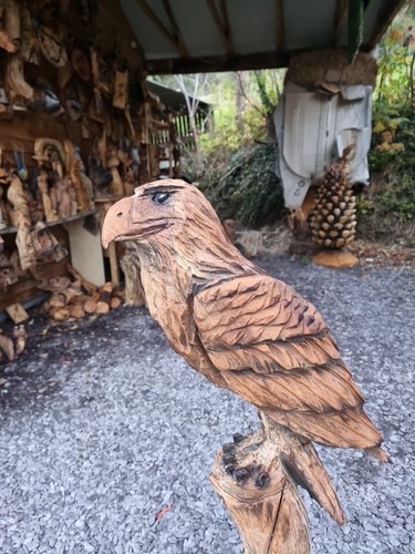 Chainsaw carved eagle - chainsaw,