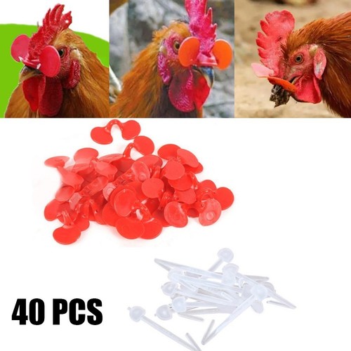 Anti pecking poultry farming - pecking,
