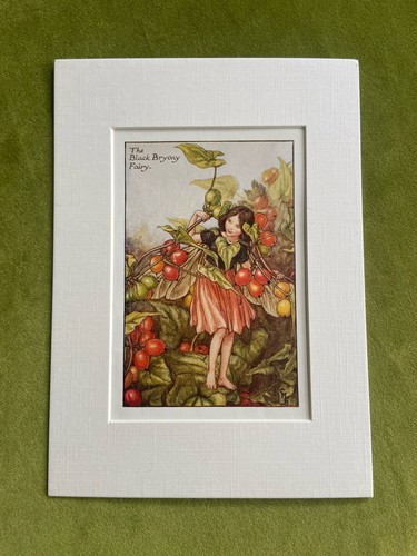 Black bryony flower - ‘black, bryony’