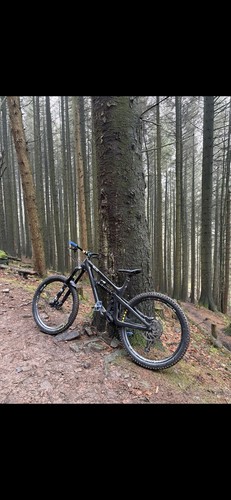 Yeti sb165 2021 - sb165, full