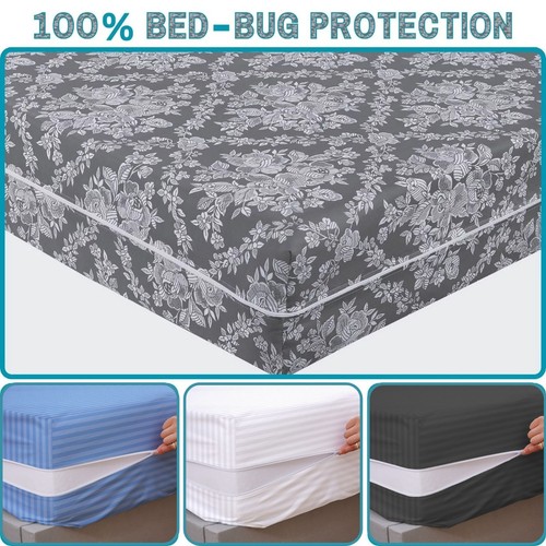 100 anti bed bug - bed, zipped