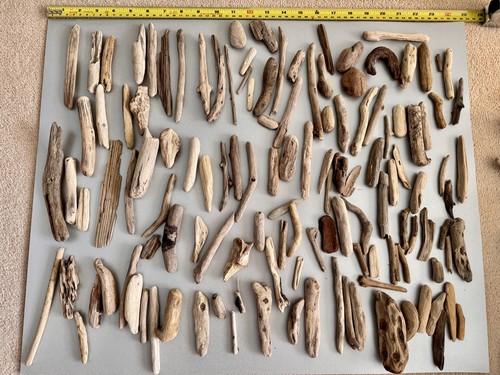 Driftwood pieces arts - driftwood,
