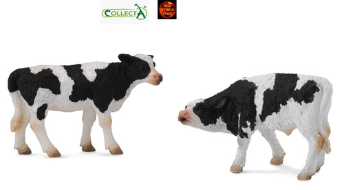 Friesian calf pair cow - of,