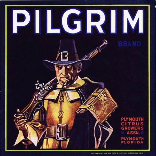 Plymouth florida pilgrim - plymouth,
