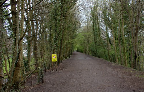 Photo 6x4 old - 6x4, railway