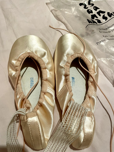 Sansha etudes pointe shoes - sansha,