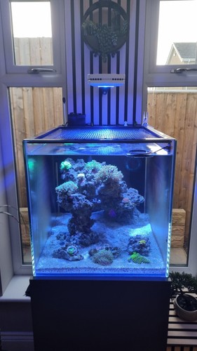 Aqua illumination prime - ai,