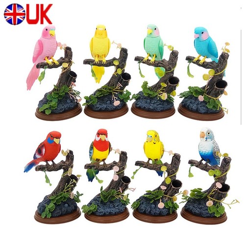 Realistic singing parrot - singing,