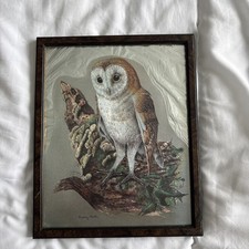  Vintage Audrey North OWL foil Lithograph picture print