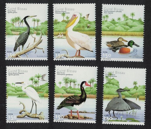 Heron egret pelican goose - pelican,