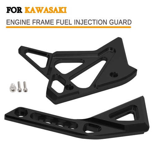 Frame fuel injection guard - fuel,