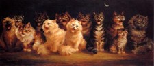 Cat Chorus by Moonlight –