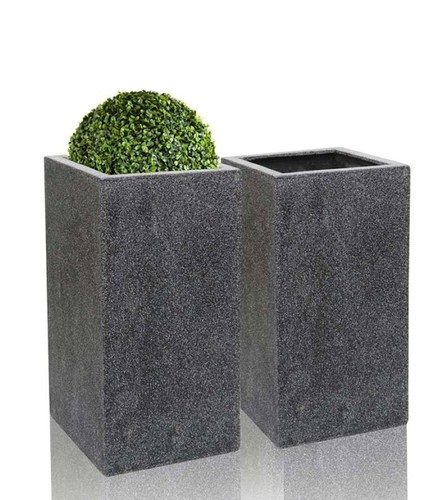 Primrose black poly - primrose,