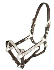 Miniature Horse Show Halter -