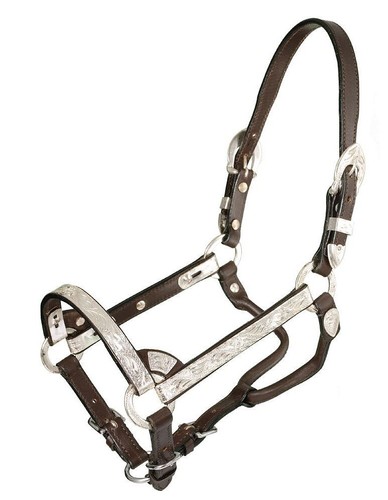Miniature horse show halter - miniature,