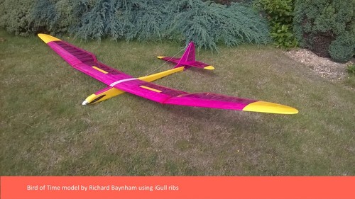 Bird time span rc model - bird,