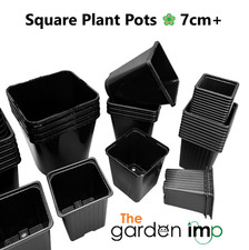 Square Plant Pots 7cm 9cm 11cm