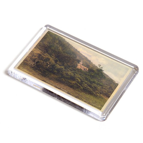 Fridge magnet vintage - -,