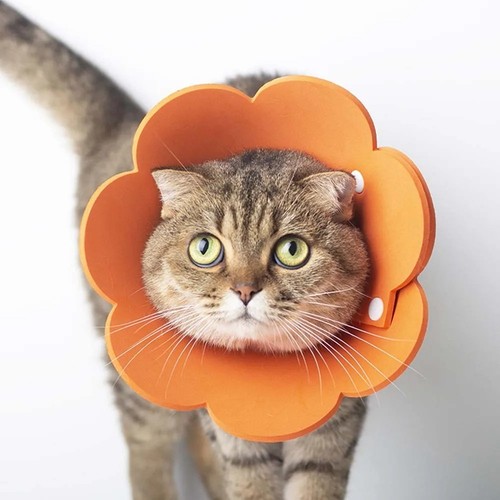 Pet dogs cat adjustable - pet,