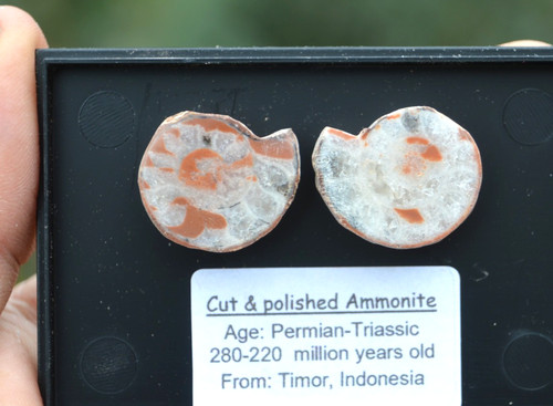 Small cut and - cut, polished