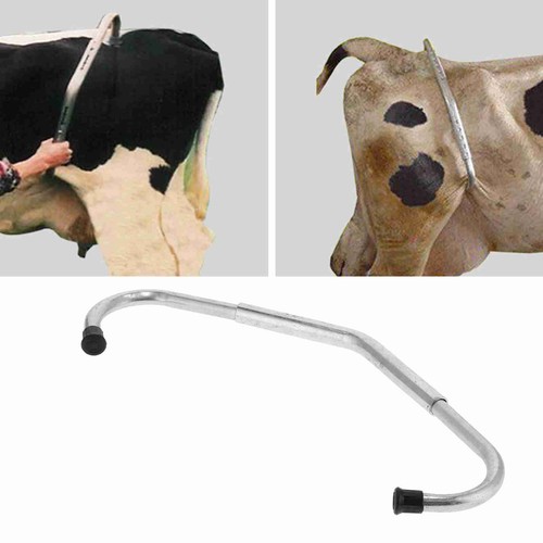 Adjustable cattle anti kicking - adjustable,