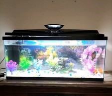 brand new very big 80Liter